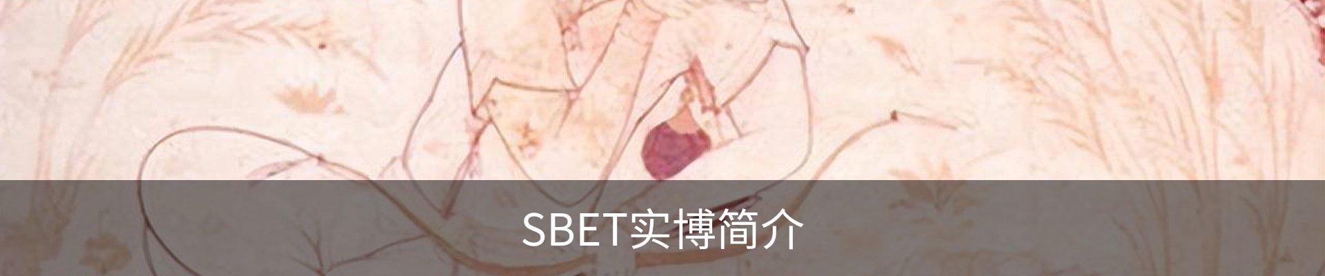 SBET实博简介